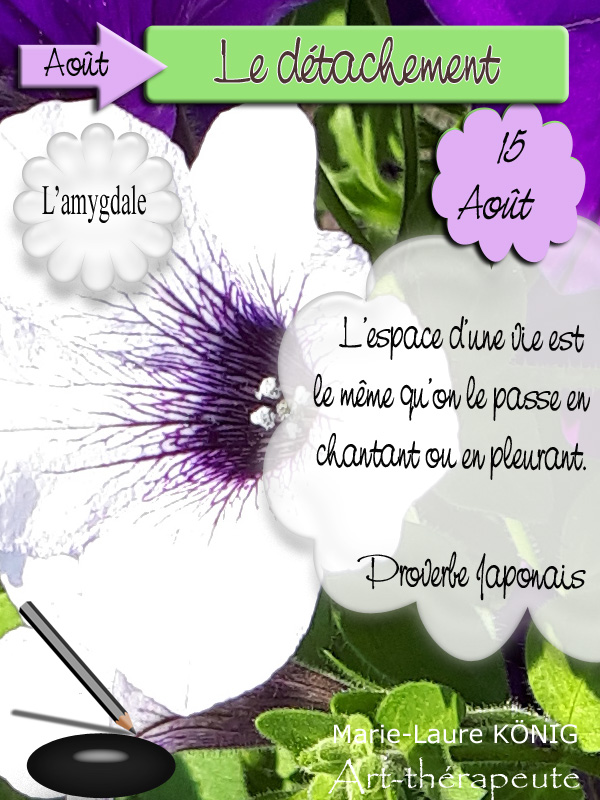 15 aout