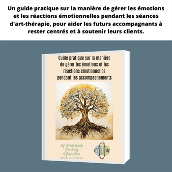 8 guide pratique sur la maniere de gerer les emotions et reactions emotionnelle durant les seances art therapie